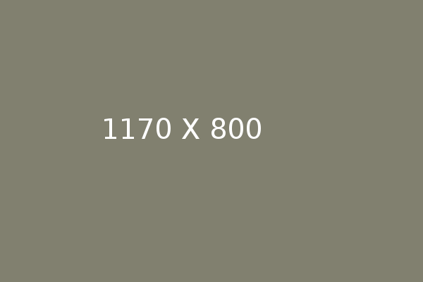 Portfolio 10