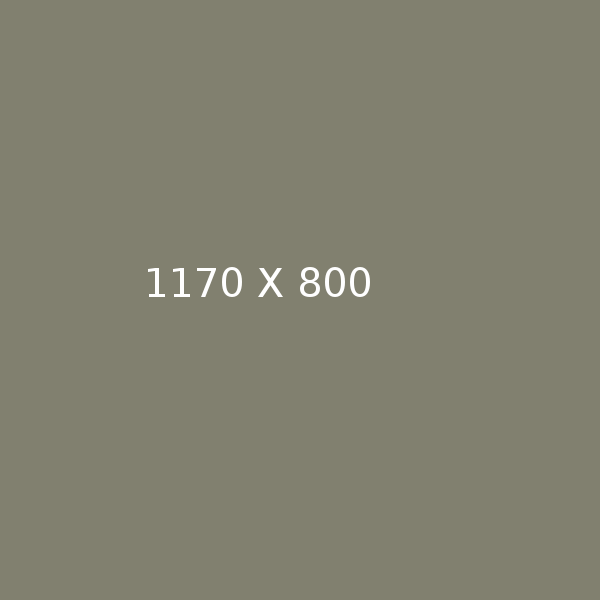 Portfolio 6